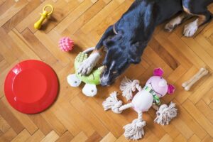 7 Must Have Eco-Friendly Pet Products for a Greener Tomorrow